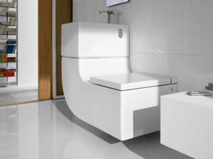 Roca-W-W-Eco-Friendly-Toilet