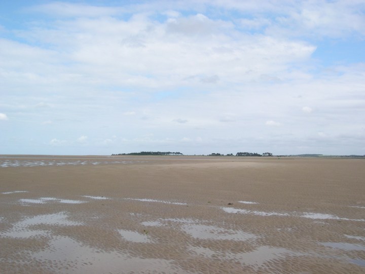 DSCN4232