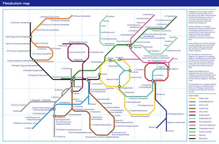 Metabolic Maps