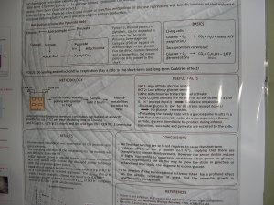 YGM poster at seattle