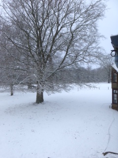 Snow at Brockwood