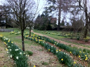 2013, Brockwood Park