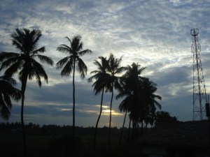 DSC00622