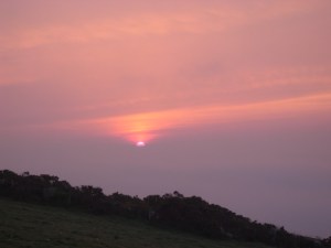 DSCN2615