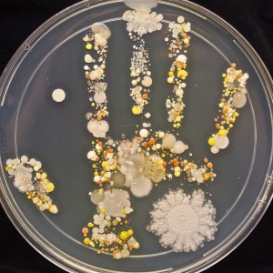 hand print