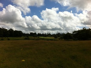 Seven Oaks, UK