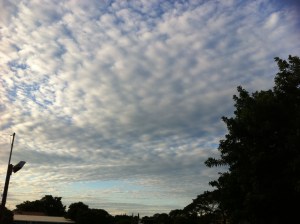 Sky from my flat in Campinas