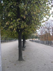 DSCN3613