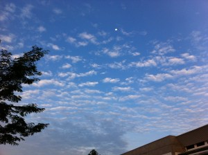 IMG_2904