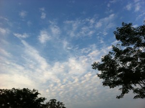 IMG_2905