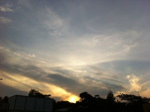 IMG_2906