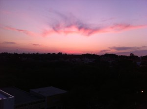 IMG_2910