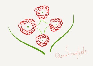 IMG_0860.PNG