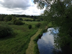 IMG_1599 (1)