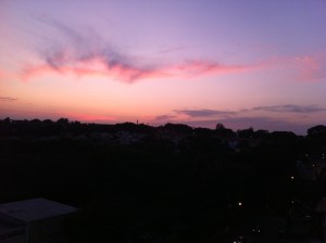 IMG_2911