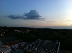 IMG_2939