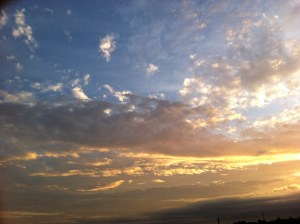 IMG_2971