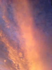 IMG_2974
