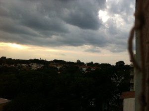 IMG_3041
