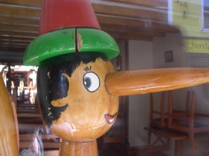 DSCN2947