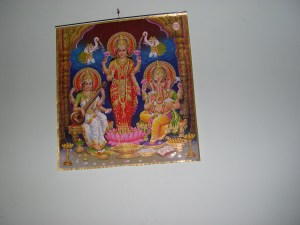 DSCN3271