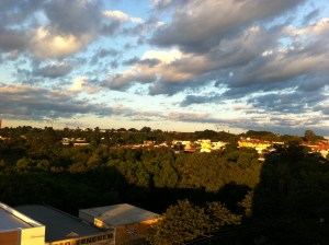 IMG_3270