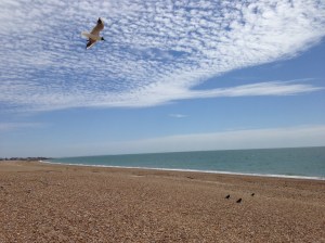 IMG_2503