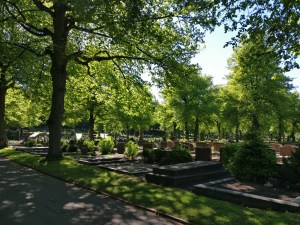 IMG_20170526_163628