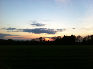 IMG_4052