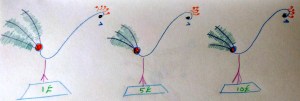 IMG_20170923_084541_01
