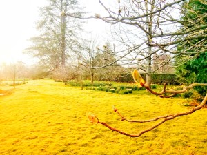 Spring-01