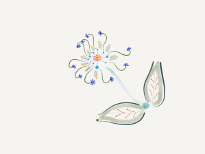Paper.Journal.14