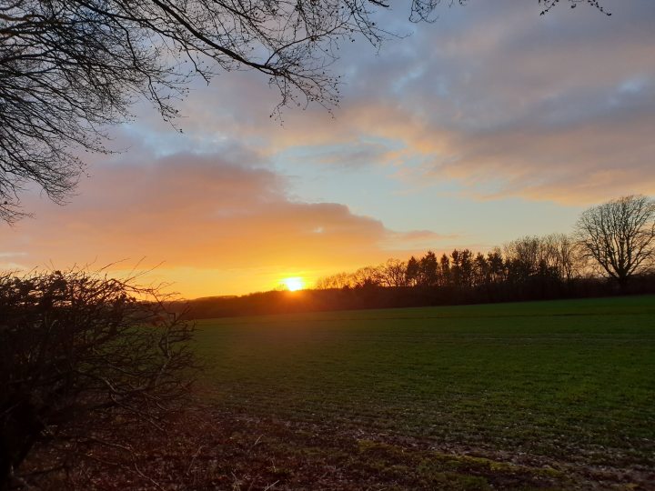 20190127_163526.jpg