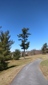 img_20190326_122408